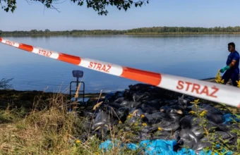 157 kg of dead fish in silesia the ghost of the 2002 ecological disaster returns 21242