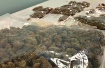 22-Year-Old Arrested in P艂ock with Drugs Worth Nearly 70 Thousand PLN Faces Up to 10 Years in Prison 22 year old arrested in p ock with drugs worth nearly 70 thousand pln faces up to 10 years in prison 20611