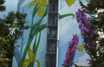 another large scale mural unveiled on koz wka estate butterfly stop premieres friday 22954