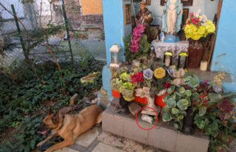 Brzeska Street Drug Sweep: Dealer Arrested and Nearly 900 Doses Seized in Warsaw brzeska street drug sweep dealer arrested and nearly 900 doses seized in warsaw 23439