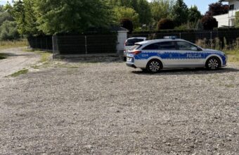 Children Poisoned in Warsaw After Eating Unknown Berries at After-School Club children poisoned in warsaw after eating unknown berries at after school club 20386