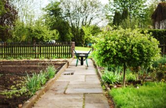 City to Lease Five Allotment Gardens with Fierce Bidding Expected city to lease five allotment gardens with fierce bidding expected 23490