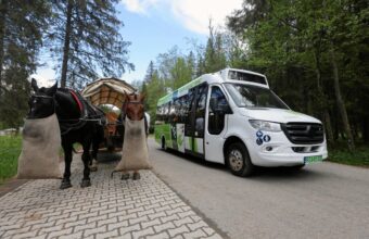 Clashes on Morskie Oko Road as Police Forcefully Remove Activists Demanding End to Horse-Drawn Carriages clashes on morskie oko road as police forcefully remove activists demanding end to horse drawn carriages 23585