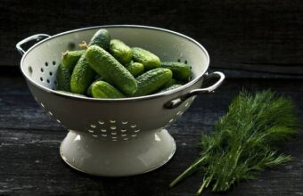 Cucumber Preserves For Winter: Top 10 Field Cucumber Recipes From Our Readers cucumber preserves for winter top 10 field cucumber recipes from our readers 21784