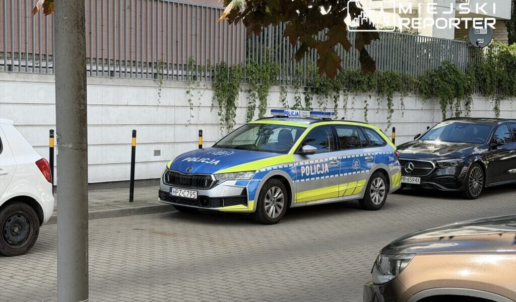 Dead Dog Found in Freezer in Warsaw’s Targ贸wek District dead dog found in freezer in warsaw s targ wek district 20730