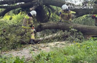 fallen tree blocks road and damages infrastructure in walend w 22327