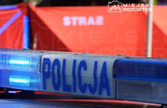 fatal dk79 crash 34 year old bmw passenger dies after collision with deer 21093