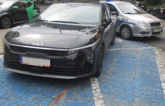 Fines Are Just the Beginning: Fake Disability Permit Leads to Seizure and Criminal Investigation fines are just the beginning fake disability permit leads to seizure and criminal investigation 20614