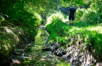 Heavily Wooded and Prone to Landslides: The City Prepares for Works Along the Sud贸艂 Stream heavily wooded and prone to landslides the city prepares for works along the sud stream 22229