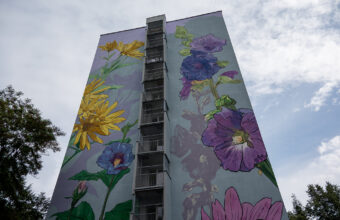 New Mural on Koz艂贸wek Housing Estate: “Butterfly Stop” Unveiled new mural on koz wek housing estate butterfly stop unveiled 23681