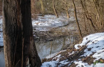 olszanicki stream to be redeveloped with new basins airport details plans 22900