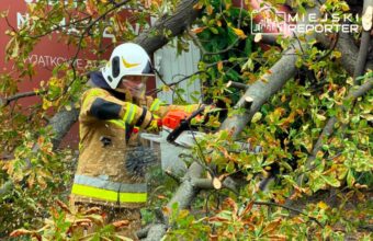 Over 2,000 Interventions and 128,000 Without Power Following Severe Gales in Masovia over 2 000 interventions and 128 000 without power following severe gales in masovia 23600