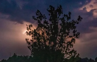 severe weather disrupts travel zakopane route temporarily halted 23008