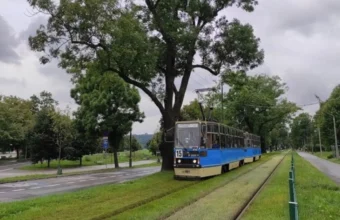 Silesian Accent on Krak贸w Tracks: A Quite Mature 50-Year-Old silesian accent on krak w tracks a quite mature 50 year old 23654