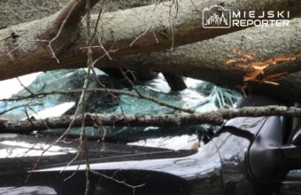 Strong Winds in Warsaw Uproot Tree onto Parked Cars strong winds in warsaw uproot tree onto parked cars 23579