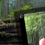 wedding balloon from berlin lands in bia owie a forest after 900 kilometer journey 20653