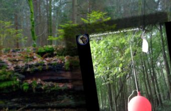 wedding balloon from berlin lands in bia owie a forest after 900 kilometer journey 20653